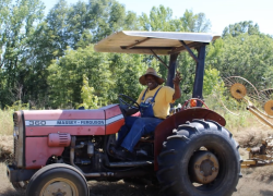 George A. Miller and Alonzo Miller Harvesting Hay and Mentoring Young Farmers
